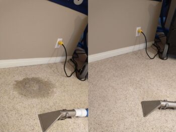 An example of stain removal on carpet