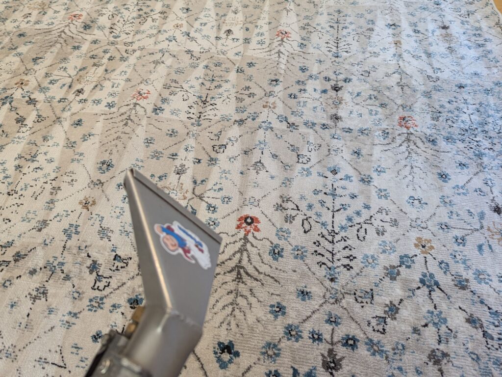 A large rug that has been cleaned by Mr. Steam