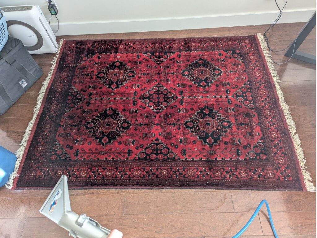 A small rug that has been cleaned by Mr. Steam